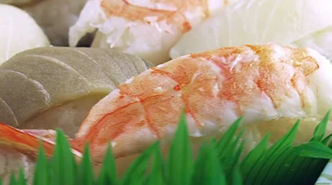 Putrid Stale Sushi Stock Footage 10679804