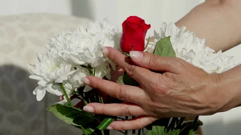 Puts flowers in a vase Video stock 312689387
