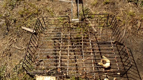 Puts meat on the BBQ 動画素材 74866494