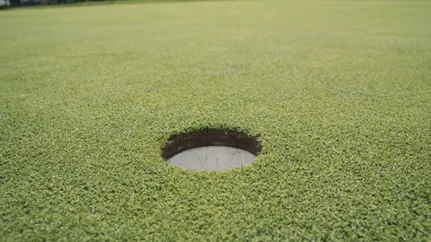 Putt2 Stock Footage 78810444