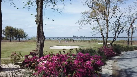 Putting on the 5th Savannah Harbour 스톡 동영상 87001708