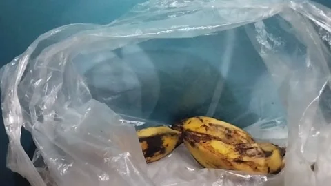 Putting Bananas One by One into a Transparent White Plastic Bag Stock Footage 229305322