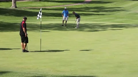 Putting for birdie Stock Footage 14925744