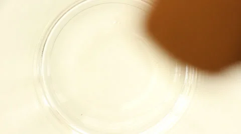 Putting Black Coffee into cup Stock Footage 33689016