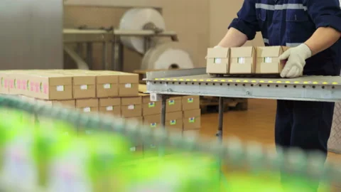 Putting Boxes Into Stacks. Packed Milk Products. Packaging Process At Milk Plant Vídeo Stock 201766023