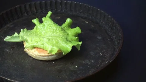 Putting chicken cutlet Stock Footage 72960181