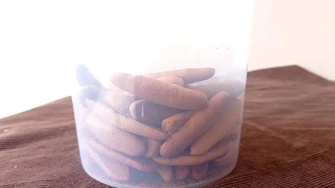 Putting chocolate biscuits into a transparent jar Stock Footage 145621861