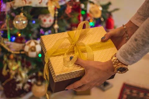 Putting christmas present Stock Photos