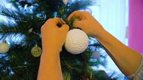 Putting Up Christmas Tree Stock Footage 100686858