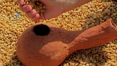 Putting coffee beans that have not yet been roasted in to the roaster. Stock Footage 304647325