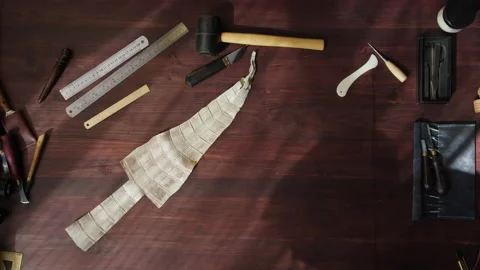 Putting colored python leather on table, preparing materials and tools before Stock Footage 157374653