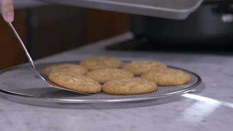 Putting Cookies on Mesh Up Close Stock Footage 97661296