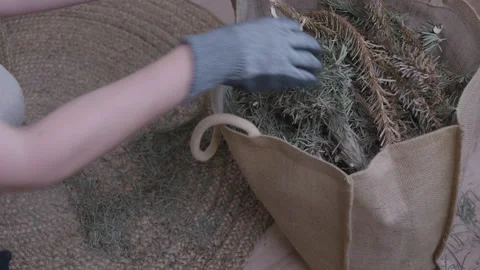 Putting cut Christmas tree branches into garbage bags for disposal Stock Footage 332907367