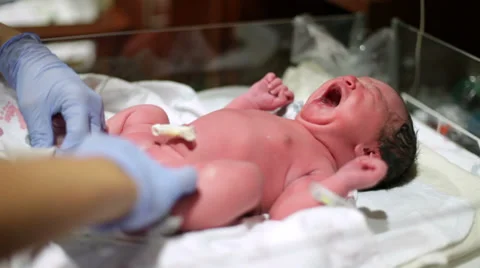 Putting diaper on newborn infant Vídeo Stock 33304480