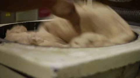 Putting dough in machine Stock Footage 9443320