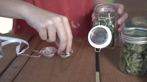 Putting dried leaves in tea diffuser Stock Footage 293026316