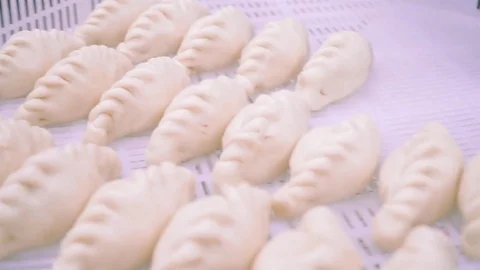 Putting dumplings into white box 库存影片 73374374