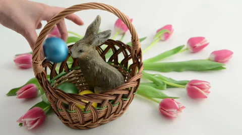 Putting Easter eggs in basket with easter bunny and pink tulips around 스톡 동영상 34150296