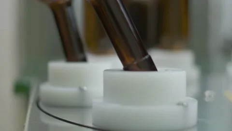 Putting empty wine bottles made of brown glass on the conveyor Stock Footage 141637898