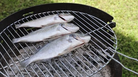 Putting fish on grill Stock Footage 109569220