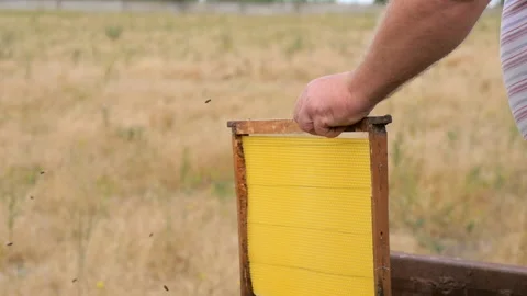 Putting the Frame into the Hive Stock Footage 134965930