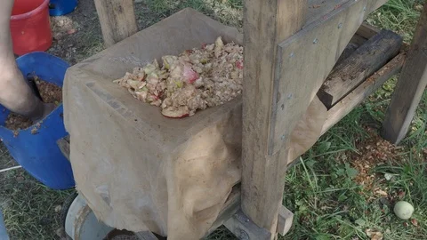 Putting fresh apple pulp in trays of wooden press squeezer Stock Footage 115849188