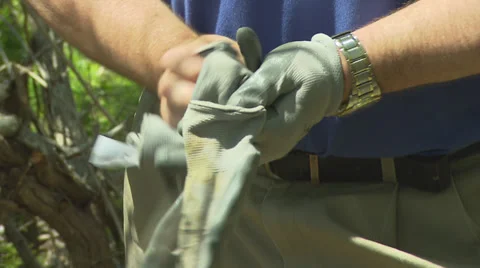 Putting on Garden Gloves Stock Footage 33218660