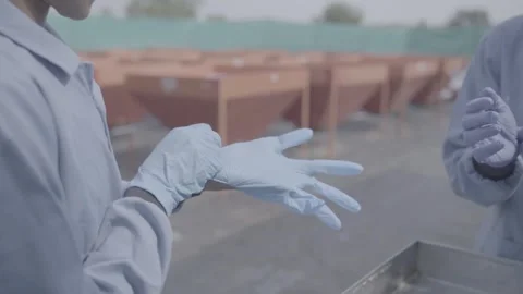 Putting on gloves in an industrial setting 스톡 동영상 327442292