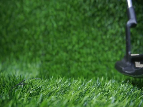 Putting a golf ball Stock Footage 105047807
