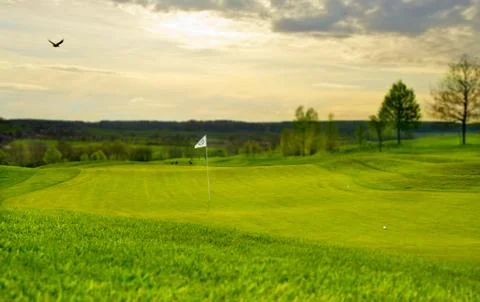 A putting green with flag Stock Photos