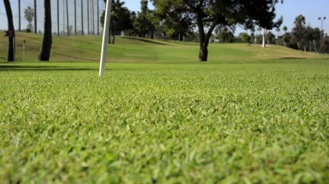 Putting on the green Stock Footage 44507889