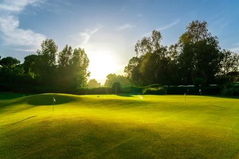 Putting green on golf course to practice the putter golf shot. Training area Stock Photos