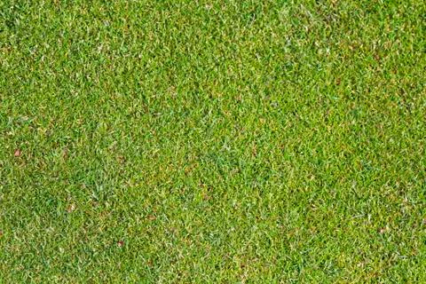 Putting Green Stock Photos