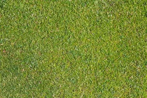 Putting Green Stock Photos