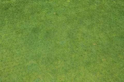 Putting green Stock Photos