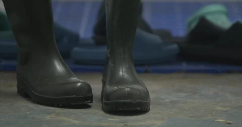 Putting on green wellington waterproof work boots close up Stock Footage 330593457
