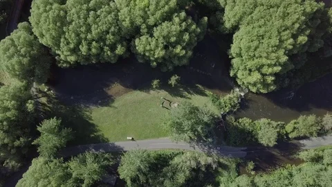 Putting the Hammocraft in a Creek Stock Footage 85625656