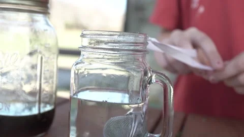 Putting herbal diffuser in hot water for tea Video stock 293026416