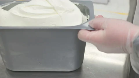 Putting ice cream in container Vidéo 160504289