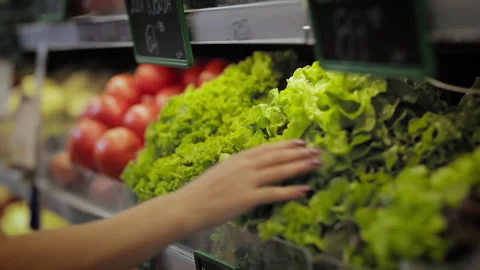 Putting Lettuce on the Shelf in the Grocery Store. Stock Footage 312387730