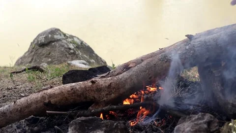Putting Logs on the Campfire by the Lake Stock Footage 292159487