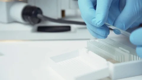 Putting microscope glasses in box 스톡 동영상 82323539