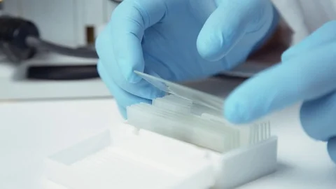 Putting microscope glasses in box 스톡 동영상 82323855