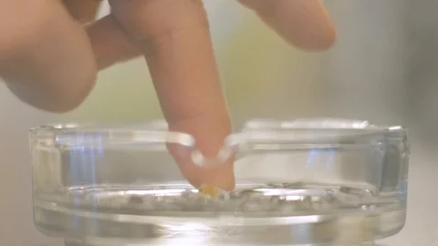 Putting out cigarette in ashtray Stock Footage 122243909