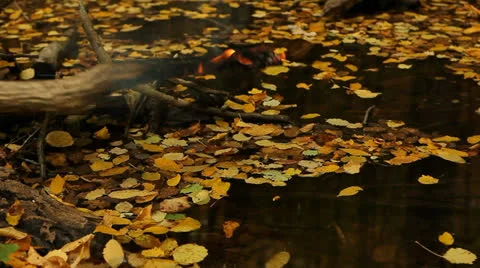 Putting out the fire Stock Footage 24611338