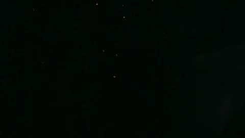 Putting out fire at the forest Stock Footage 74624661