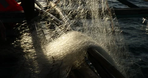 Putting out the Nets in the Philippines Stock Footage 279270114