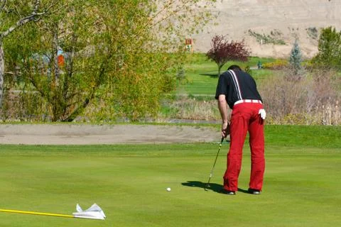 Putting Stock Photos