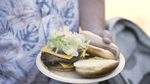Putting pickles on a hamburger cheeseburger at a picnic BBQ Stock Footage 343425105
