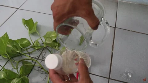 Putting plants in hanging planter Stock Footage 56084932